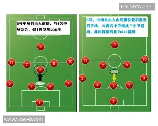 足球明星格子代表的国家及其在国际赛场上的辉煌成就分析